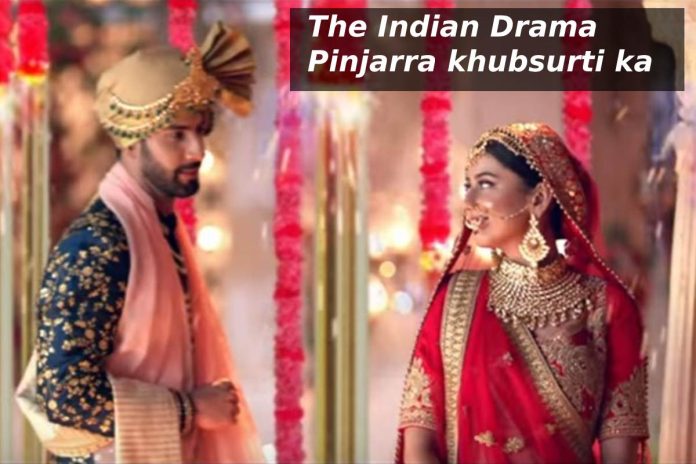 The Indian Drama Pinjarra khubsurti ka (5)