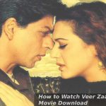 How to Watch Veer Zaara Full Movie Download