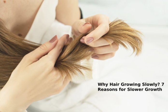 Why Hair Growing Slowly_ 7 Reasons for Slower Growth